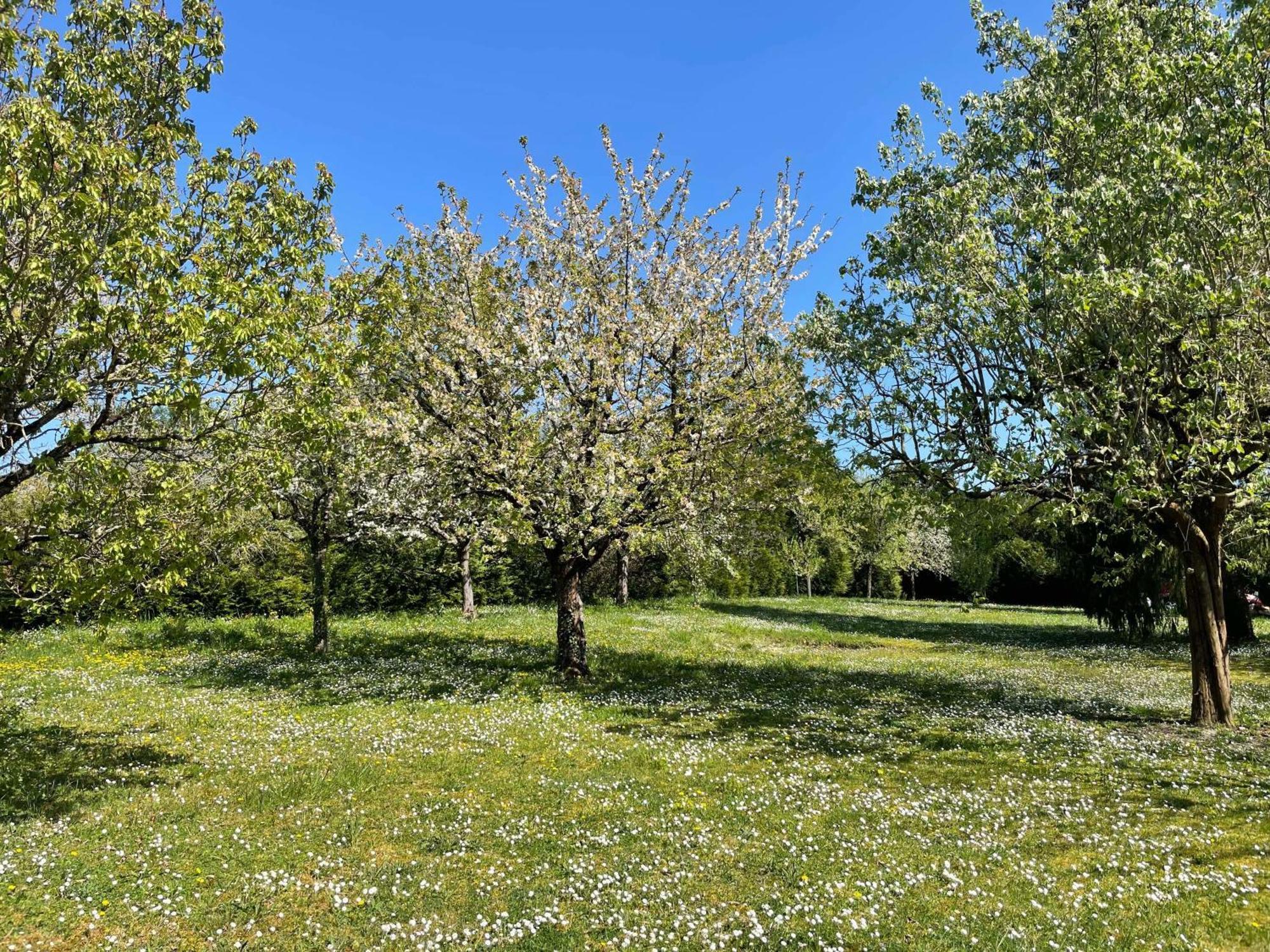Des Roux Et Des Pious Suite De 35 A 60 M2 Et 3 Chambres Pour Groupe De 2 A 6 Personnes Civray-de-Touraine Luaran gambar