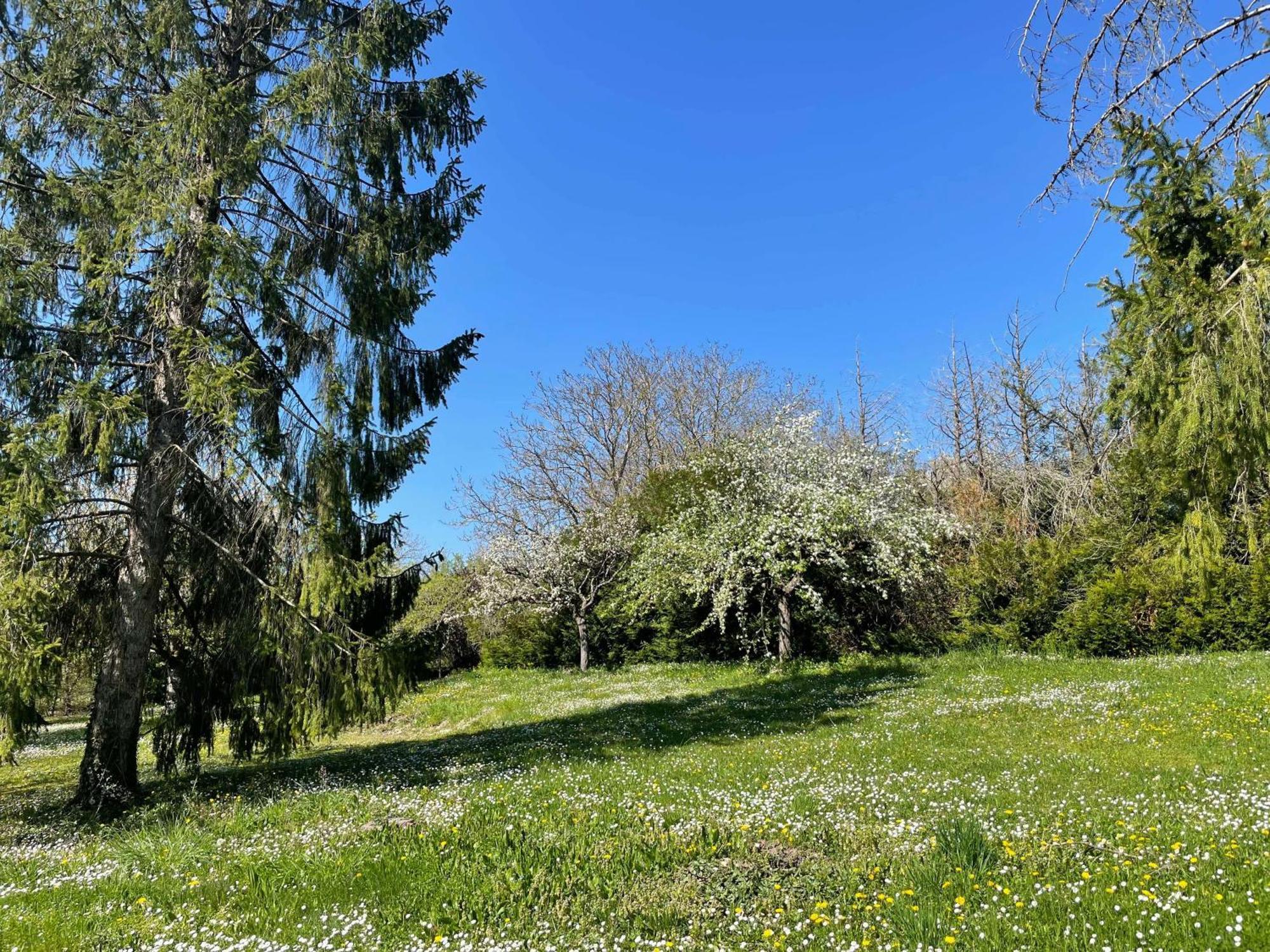 Des Roux Et Des Pious Suite De 35 A 60 M2 Et 3 Chambres Pour Groupe De 2 A 6 Personnes Civray-de-Touraine Luaran gambar
